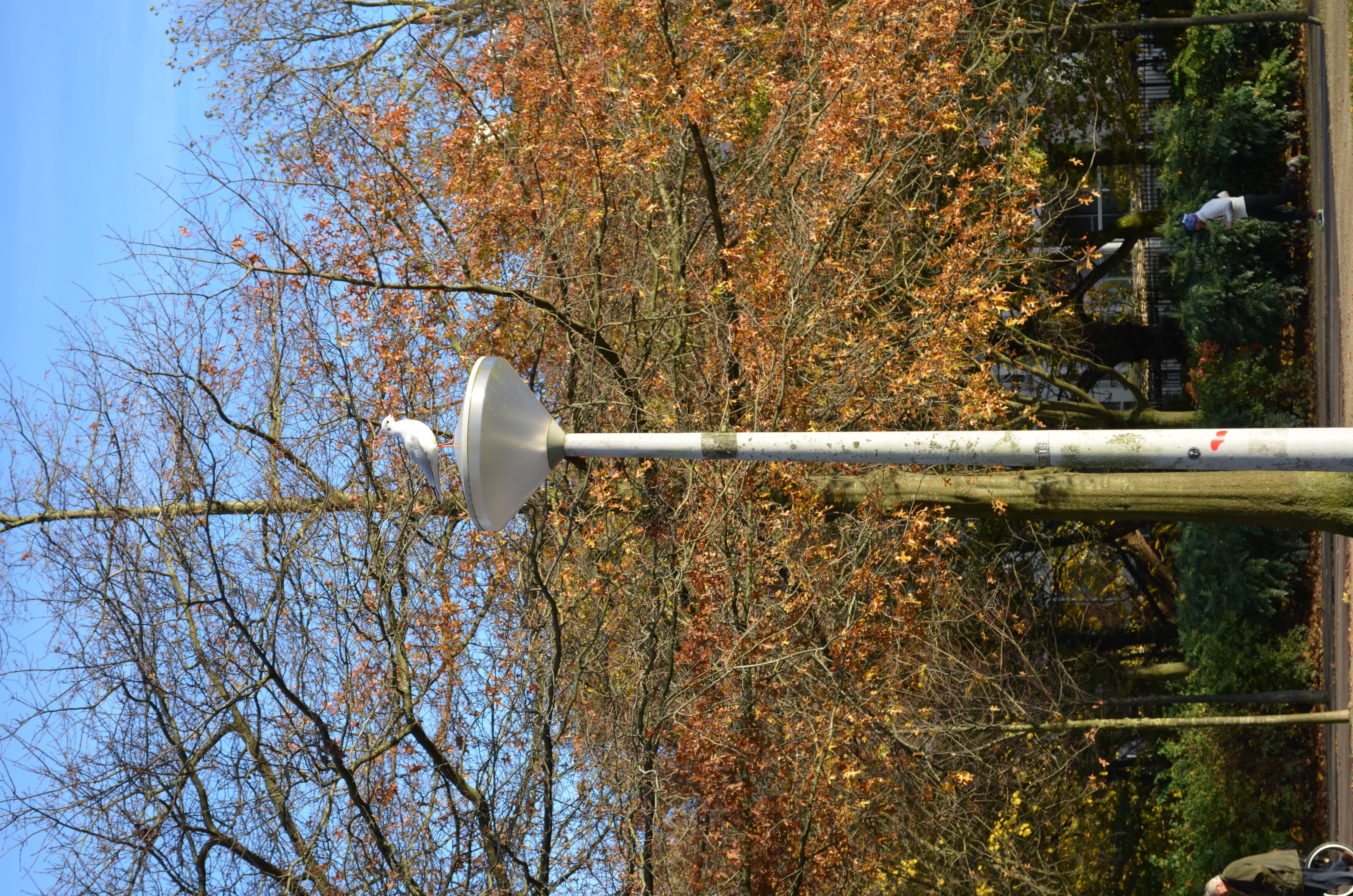 ./2017/19 - Viking Lif/13 - Amsterdam, The Netherlands/DSC_0615.JPG